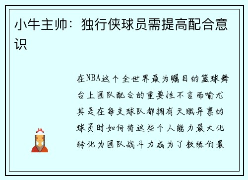 小牛主帅：独行侠球员需提高配合意识