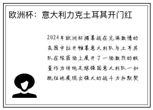 欧洲杯：意大利力克土耳其开门红