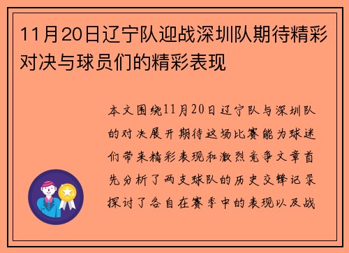 11月20日辽宁队迎战深圳队期待精彩对决与球员们的精彩表现
