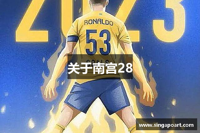 关于南宫28
